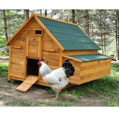 Grand poulailler Bassette XXL 15 à 18 poules toit vert