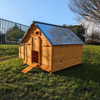 Poulailler Bassette XXL 15 à 18 poules toit tôle