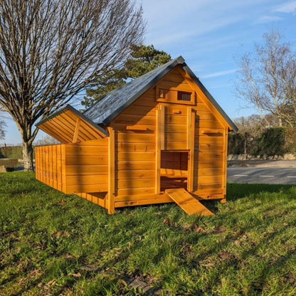 Poulailler Bassette XXL 15 à 18 poules toit tôle